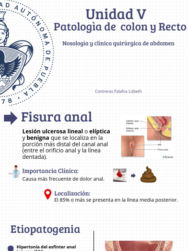 Patologìa de Colòn y Recto | PDF | Medicina CLINICA | Especialidades ...