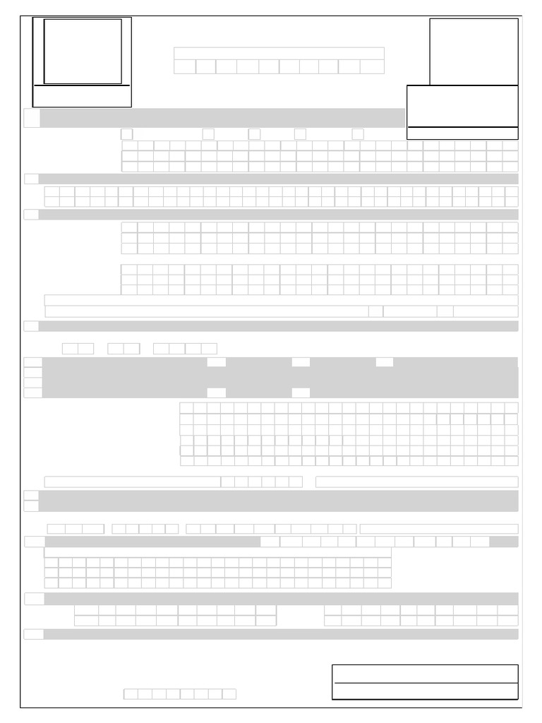Pan Correction Form | PDF