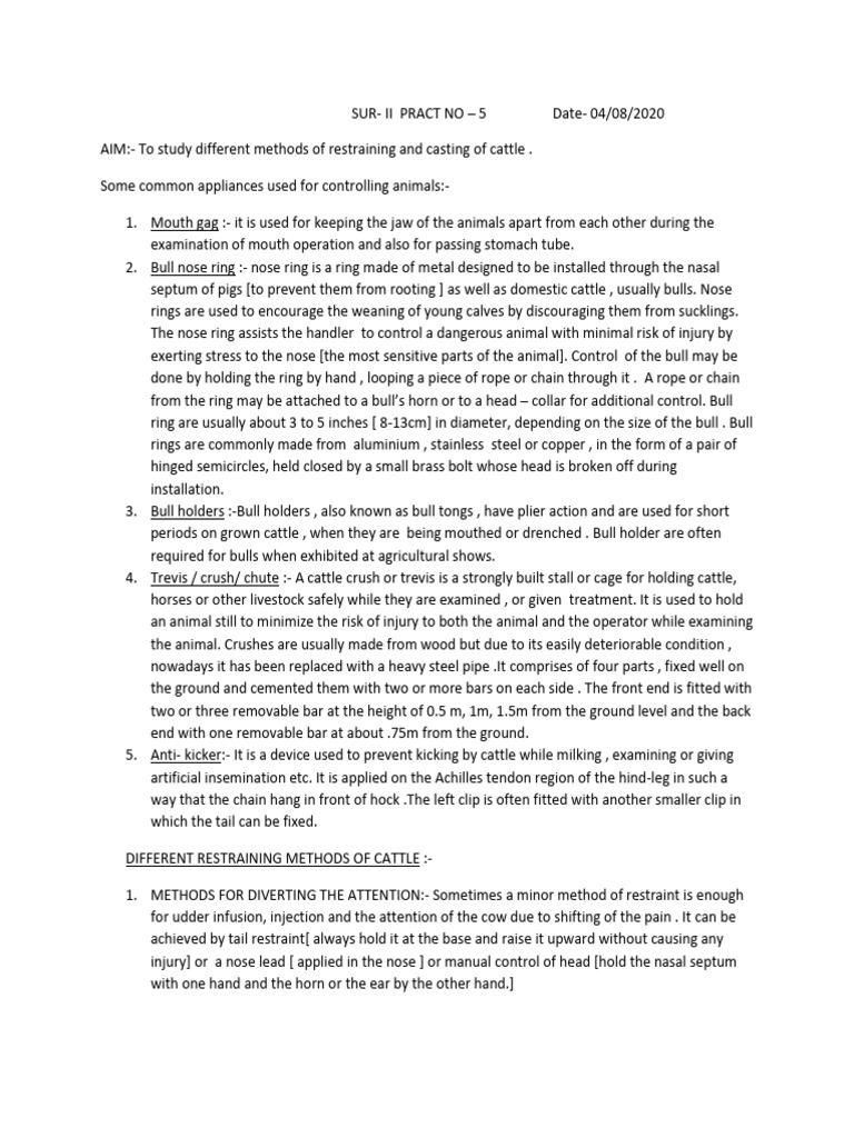 Cattle Restraint and Casting Techniques | PDF | Livestock