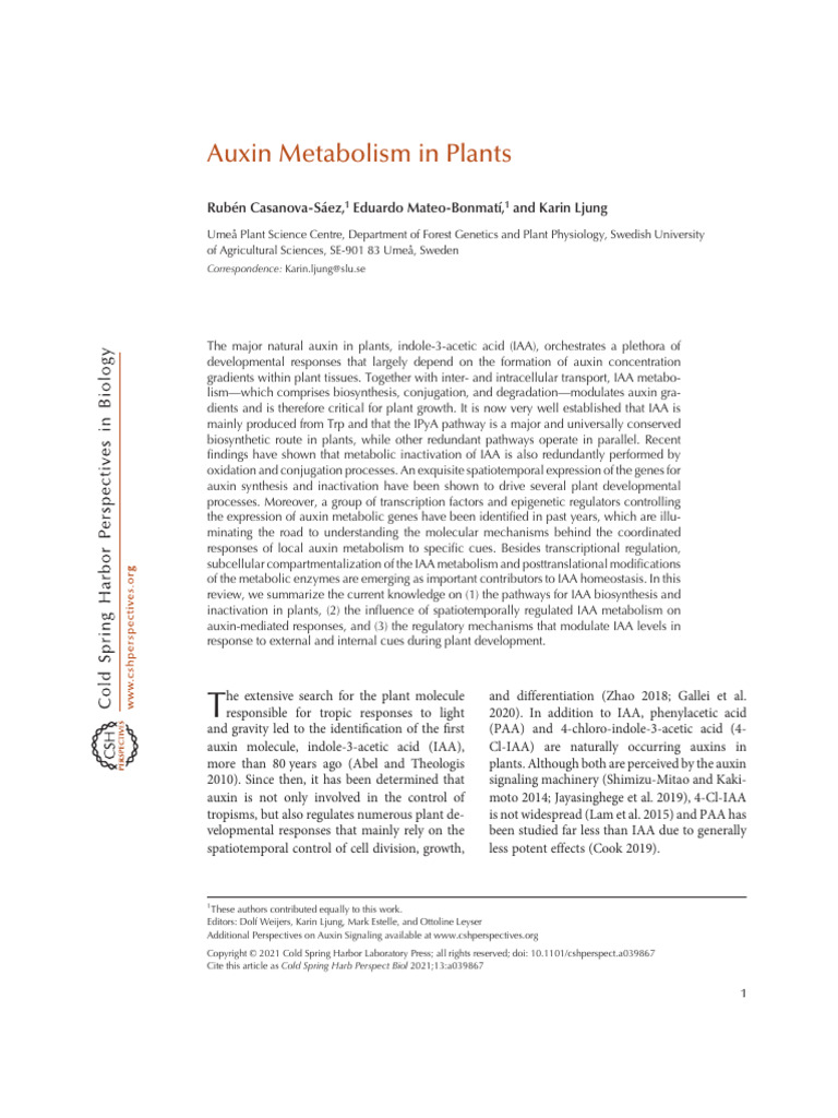 Auxin Metabolism in Plants-1 | PDF | Auxin | Root
