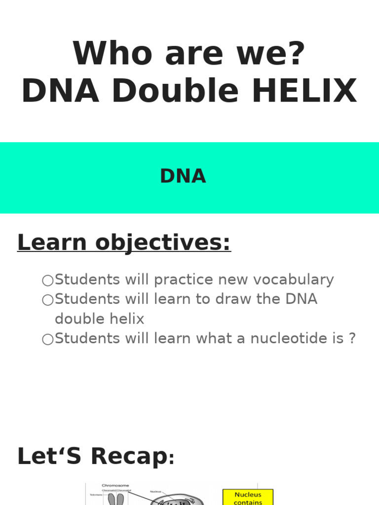 Understanding DNA Structure and Function | PDF | Dna | Nucleic Acid ...