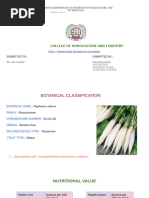 Pechay Cultivation Guide | PDF | Plants | Horticulture