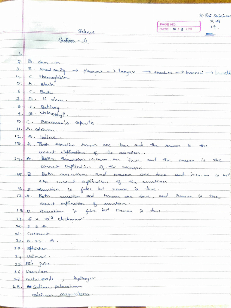 Document Analysis and Review Summary | PDF