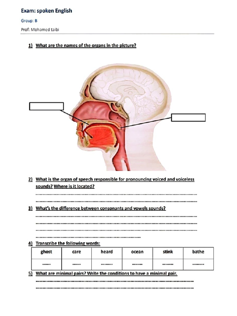 Group B Exams | PDF