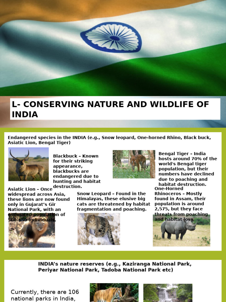 Wildlife Conservation Efforts in India | PDF | Tiger | Rhinoceros