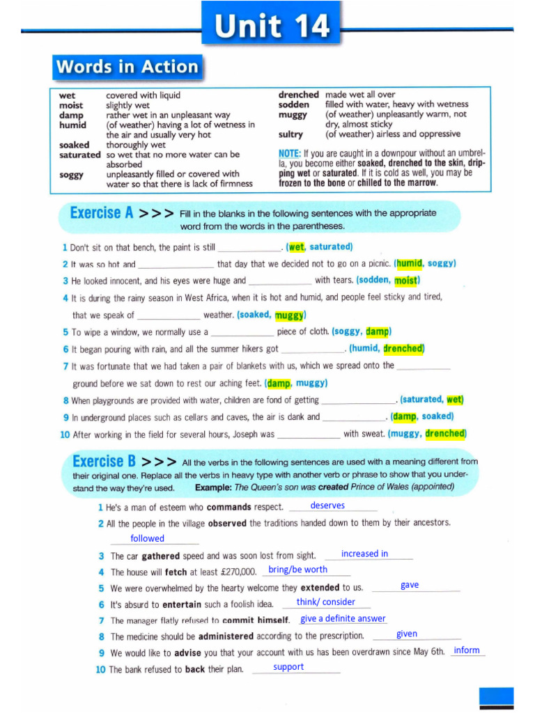 Common English Verbs and Phrases | PDF