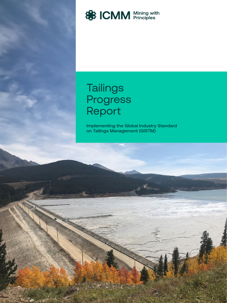 Tailings Progress Report | PDF | Mining | Sustainable Energy