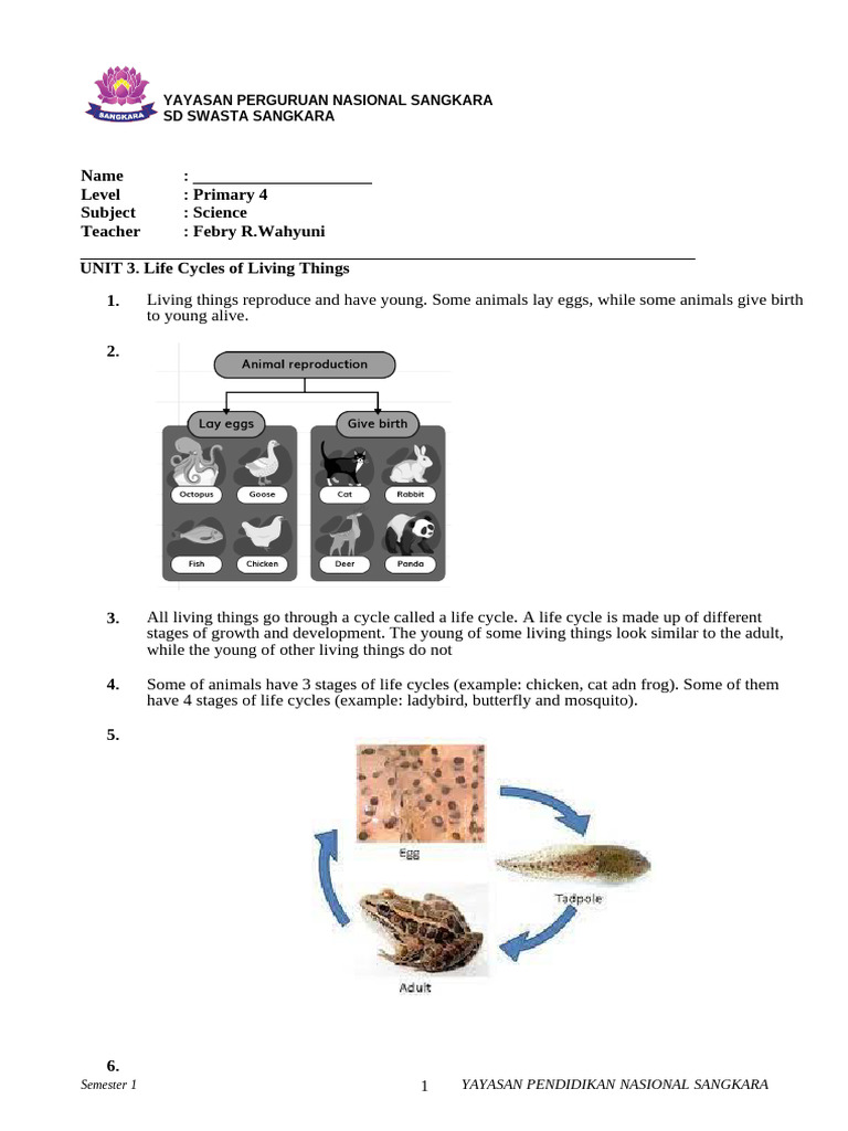 Sem 1 - Note Final Science p4 | PDF | Seed | Plants