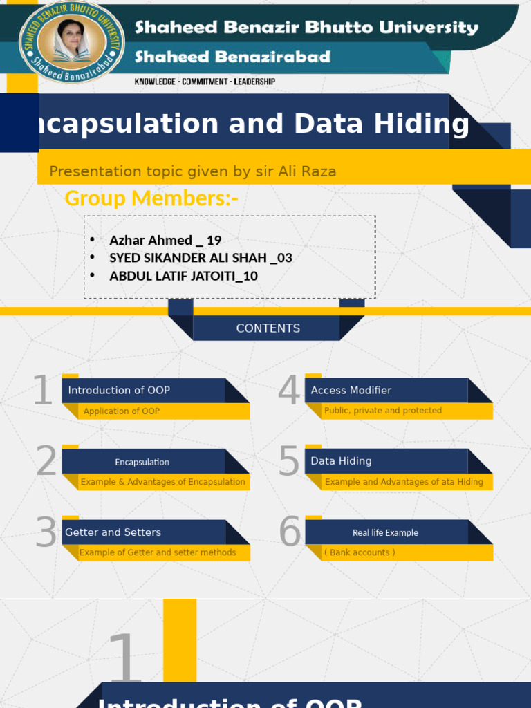 Understanding Encapsulation in OOP | PDF | Object Oriented Programming ...
