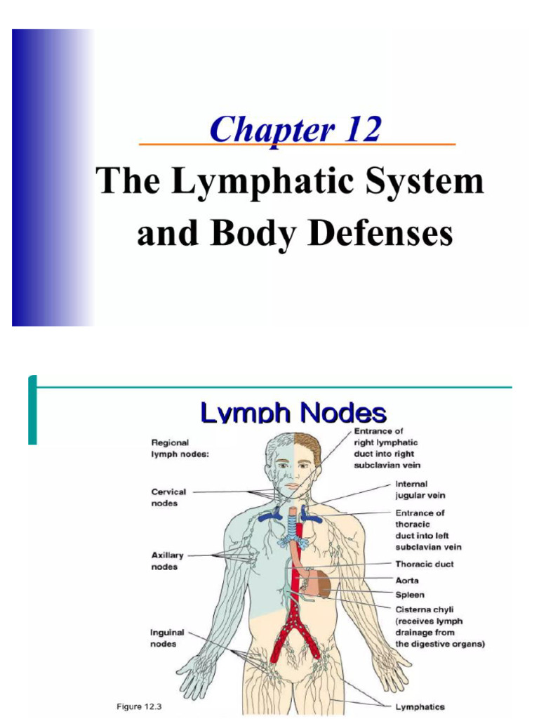 Lymphatic System Semifinals | PDF