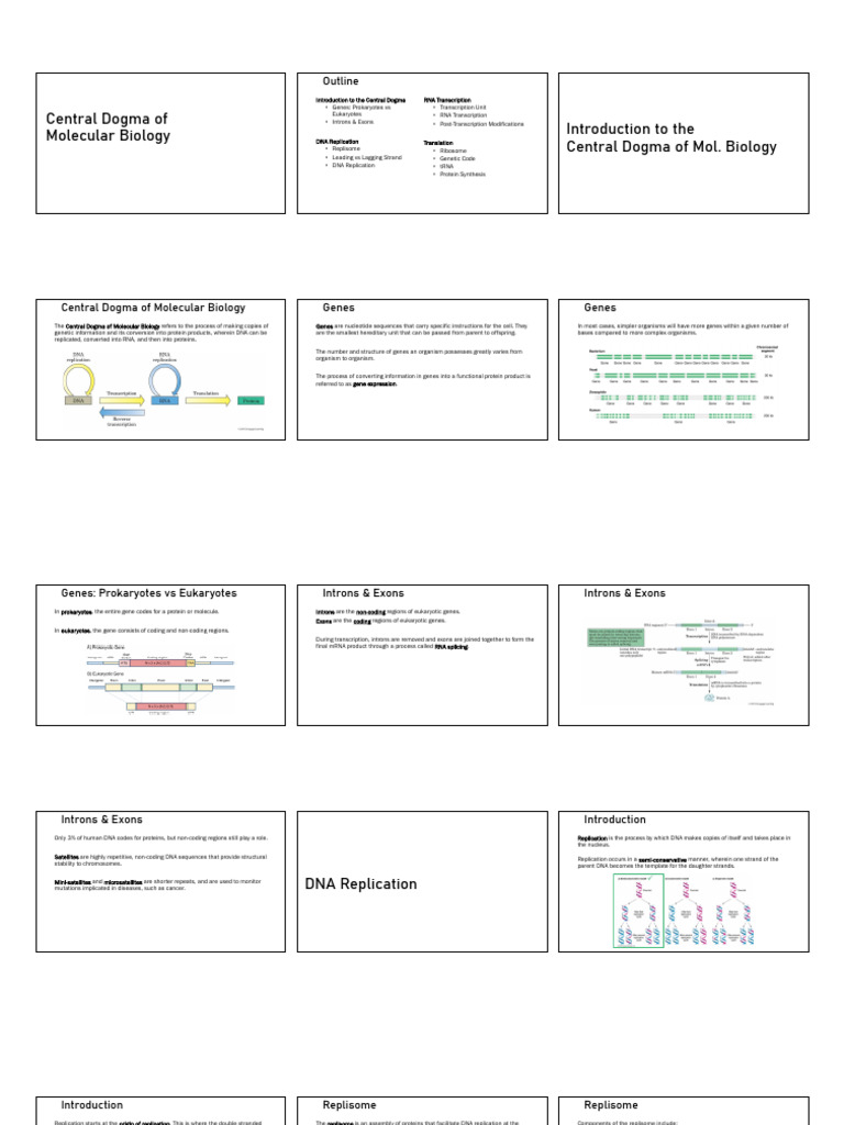 Central Dogma of Molecular Biology Guide | PDF | Dna Replication ...