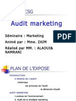 Audit Marketing