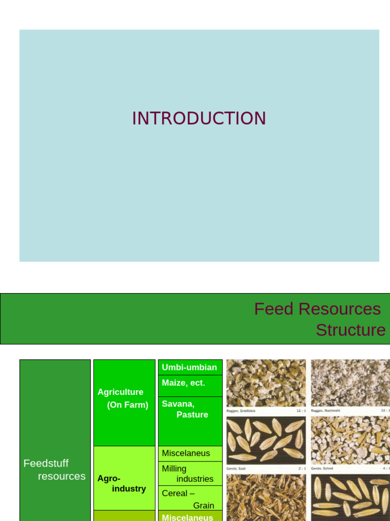 Feed Production and Manajemen | PDF | Flour | Extrusion