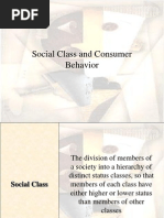 Social Class and Consumer Behavior