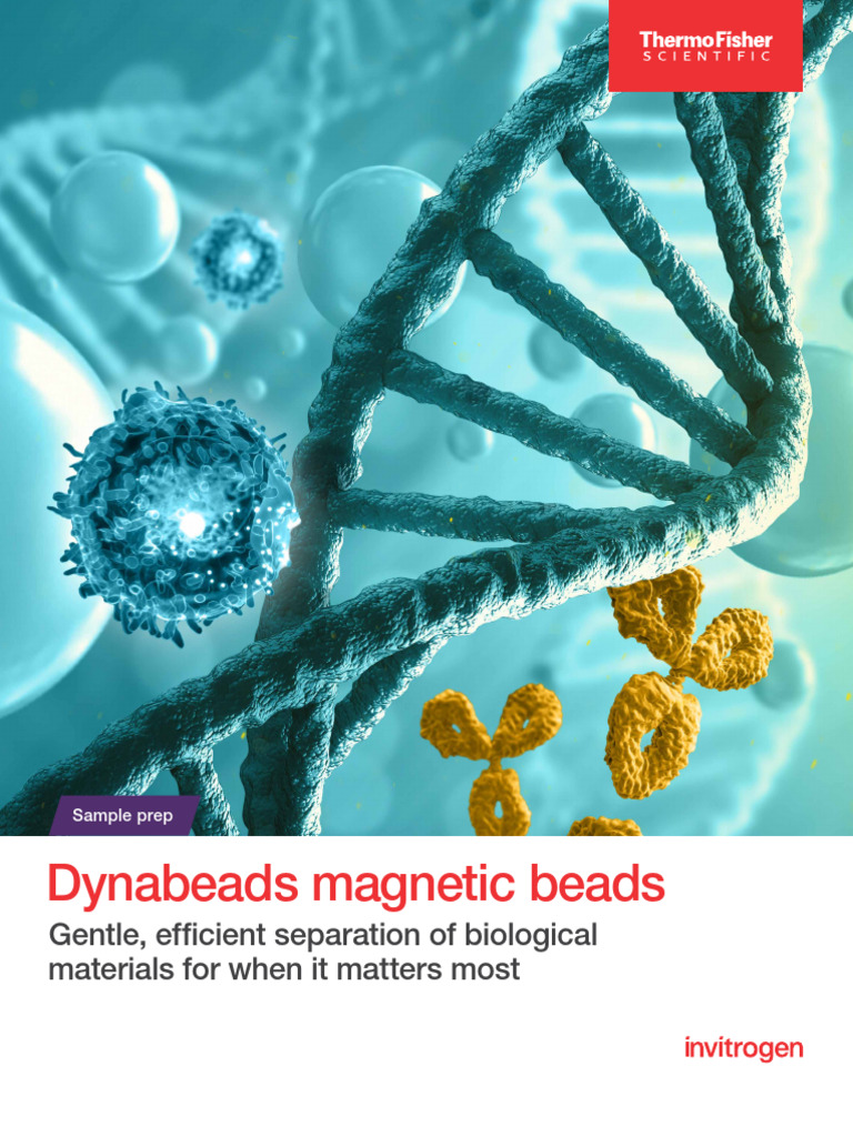 Dynabeads Magnetic Beads Brochure | PDF | Immunoprecipitation | T Cell