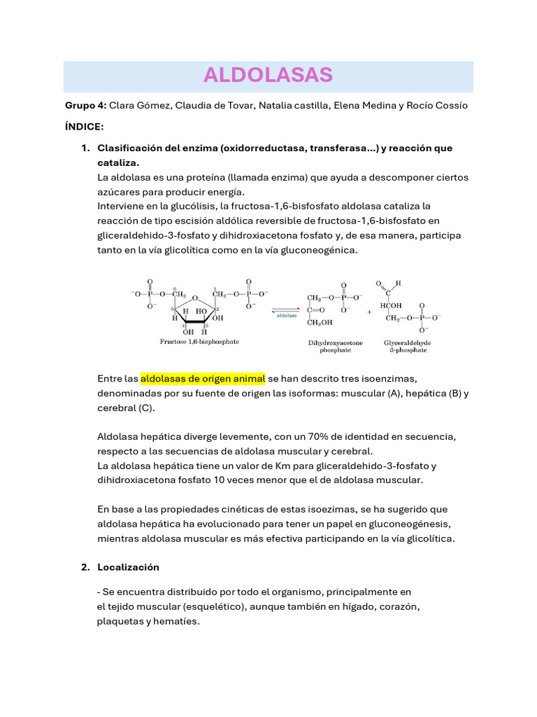 Funciones y Diagnóstico de Aldolasa | PDF | Bioquímica | Química