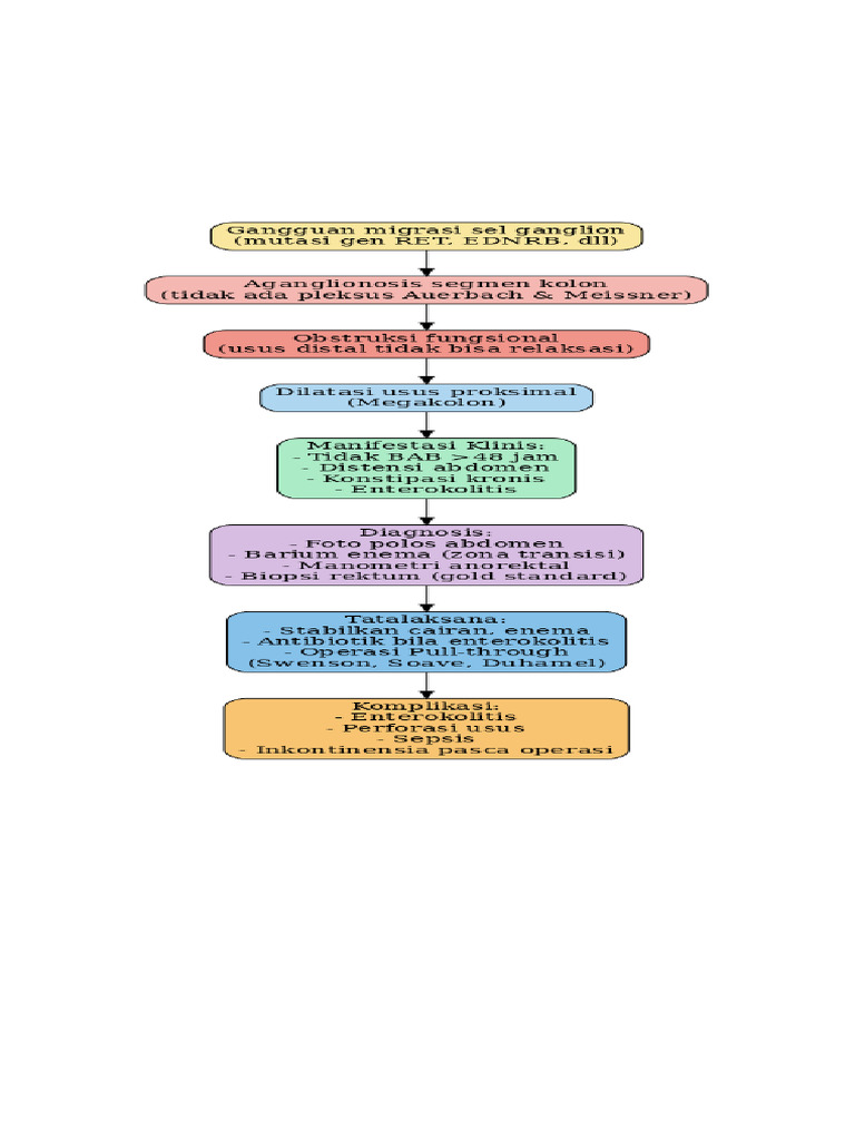 Hirschsprung Pathway Diagram | PDF