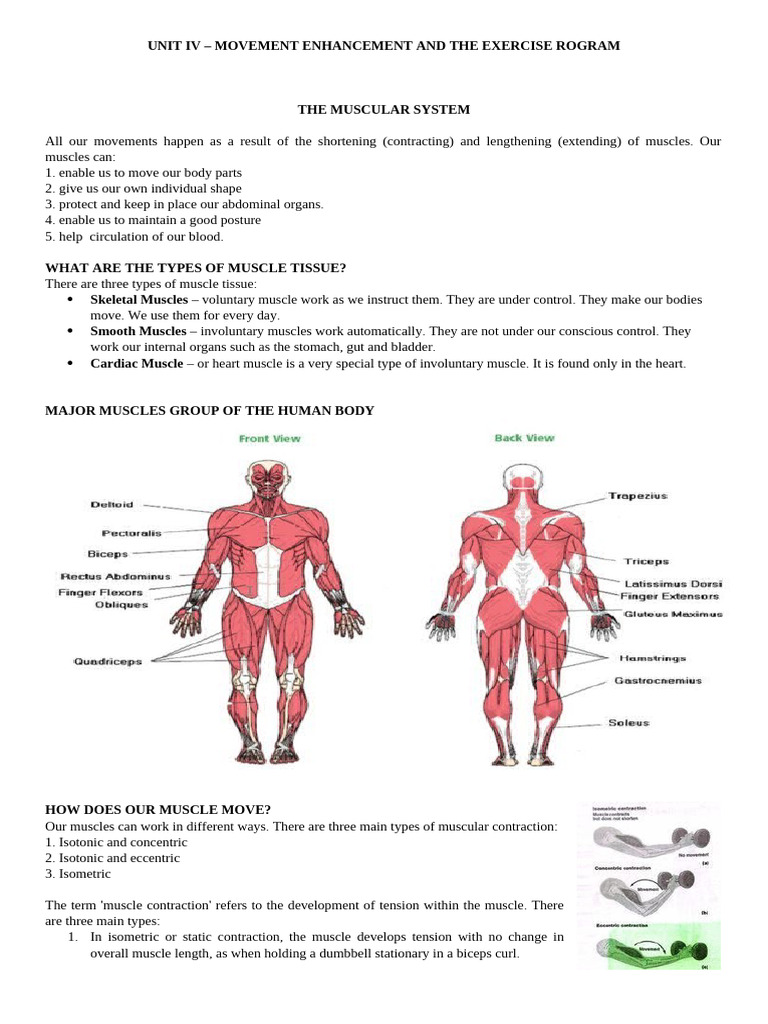 Muscle Movement and Contraction Types | PDF | Muscle | Muscle Contraction