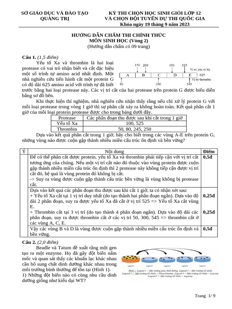 HDC V2 CT 2023 16 | PDF