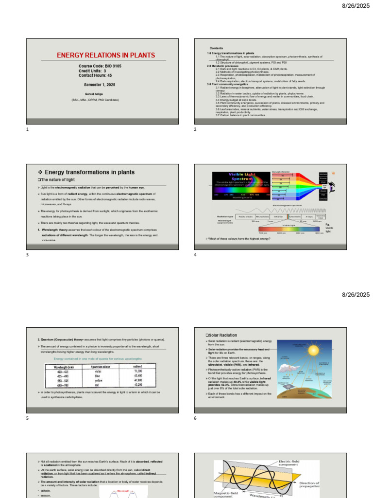 Energy Transformations in Plants | PDF | Electromagnetic Radiation ...