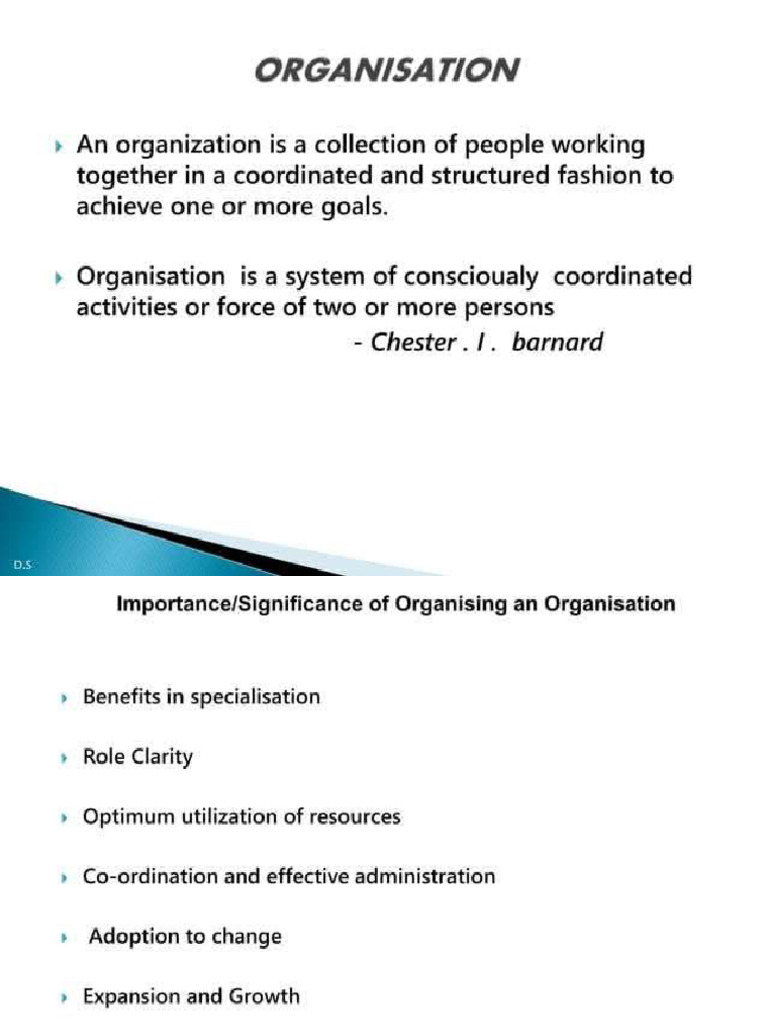 Organization | PDF
