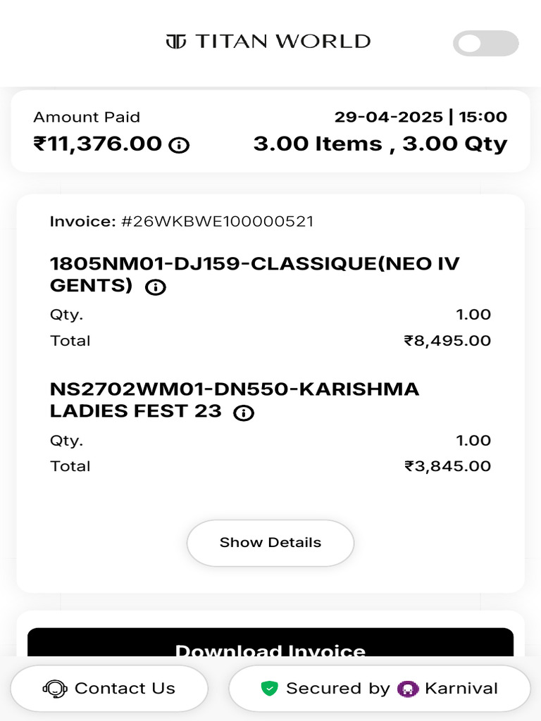 Invoice Summary for Karnival Purchase | PDF