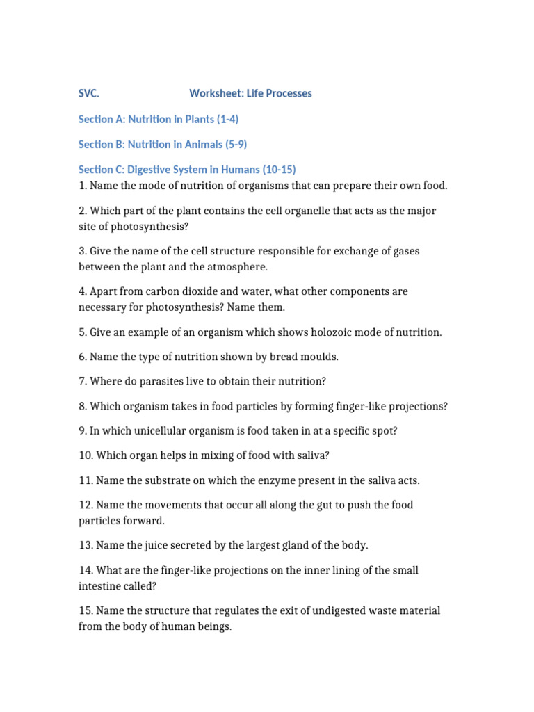 Nutrition and Digestive Systems Worksheet | PDF