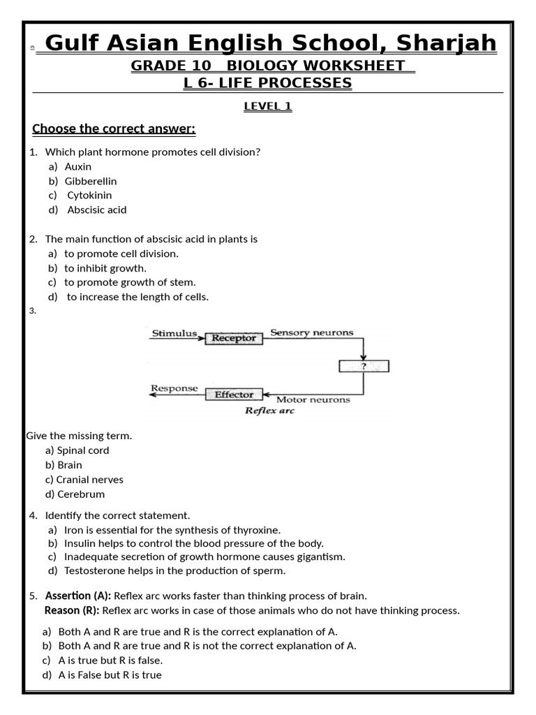 Control & Coordination WS | PDF | Hormone