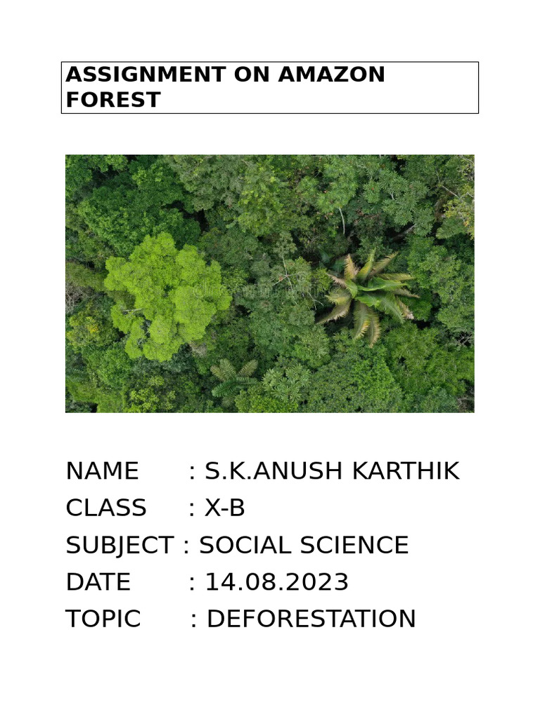 Assignment On Amazon Fores1 | PDF