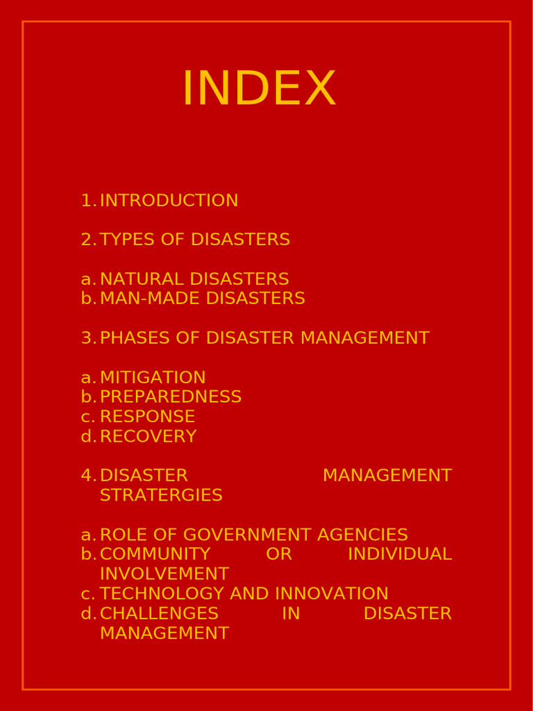 SSC Project Disaster Management | PDF | Natural Disasters | Emergency ...