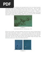 Download Kristal-Kristal Urine Jeni by Fenthy Ferry Razak Raintung SN94419123 doc pdf