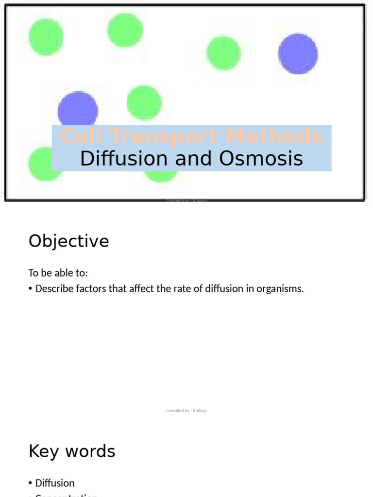 Cell Transport: Diffusion and Osmosis | PDF | Osmosis | Diffusion