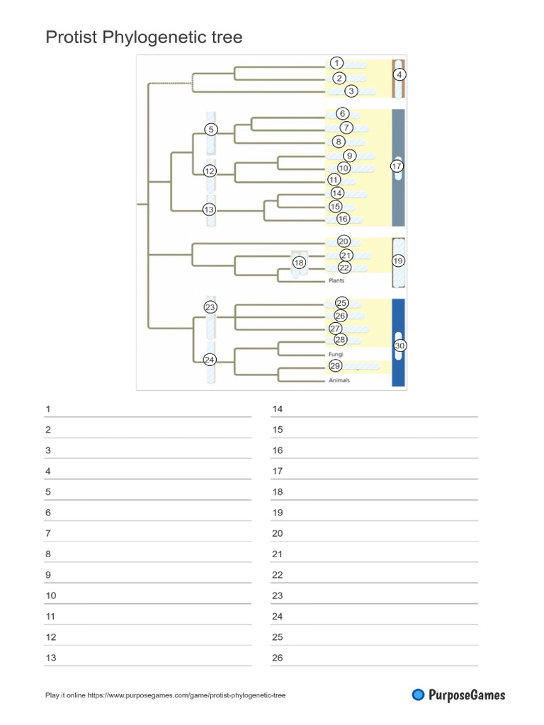 Worksheet | PDF