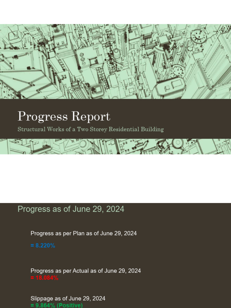 Progress Report 6-29-24 | PDF