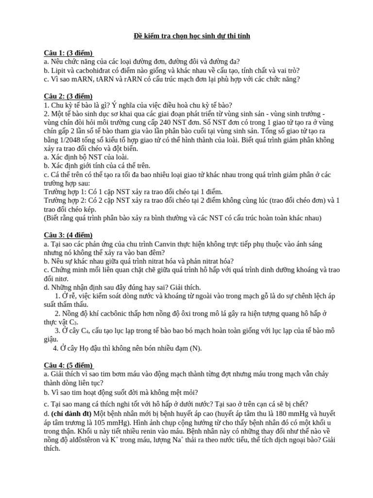 de So 4 | PDF