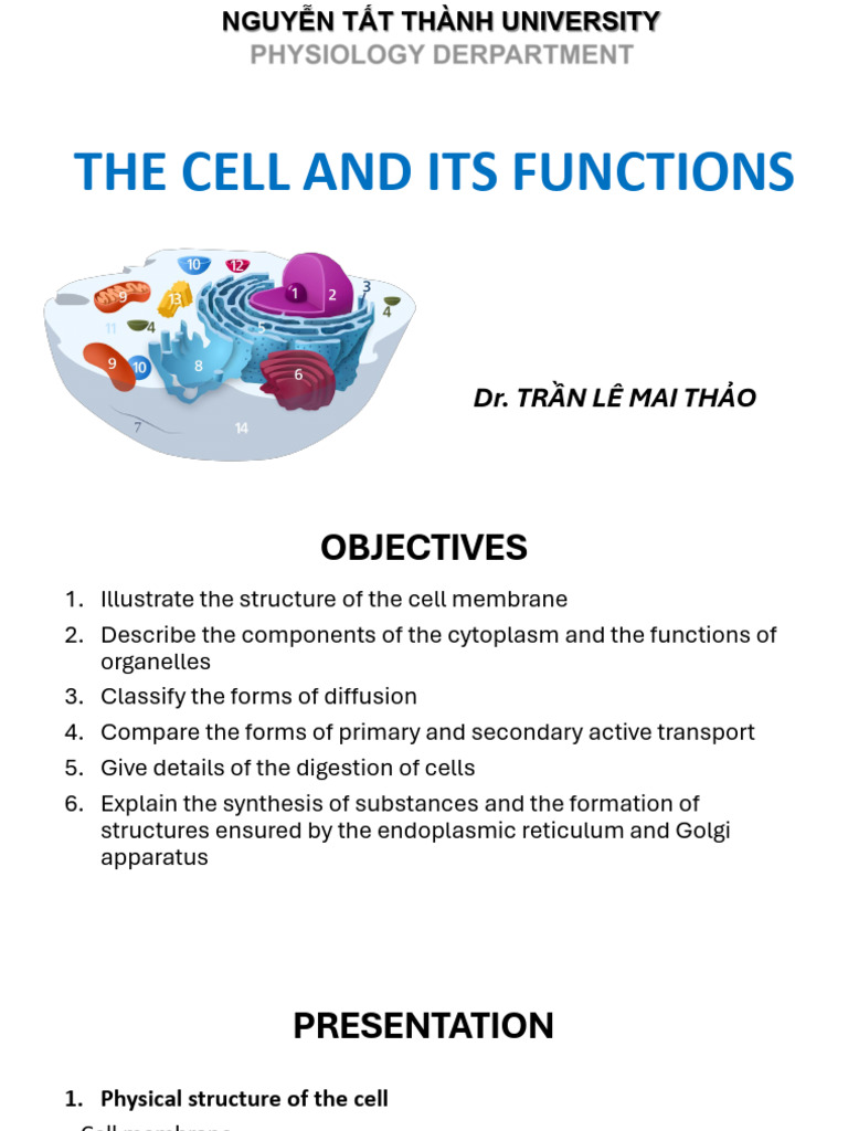 3.1 The cell | PDF | Endoplasmic Reticulum | Cell Membrane