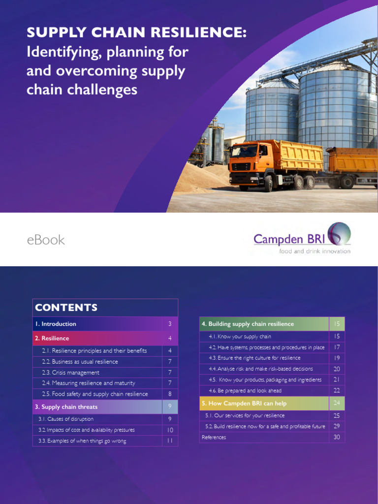 Supply Chain Resilience e Book | PDF | Supply Chain | Risk