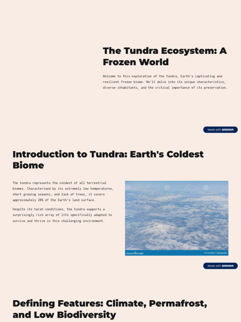 Tundra Ecosystem: Characteristics & Conservation | PDF | Arctic | Nature