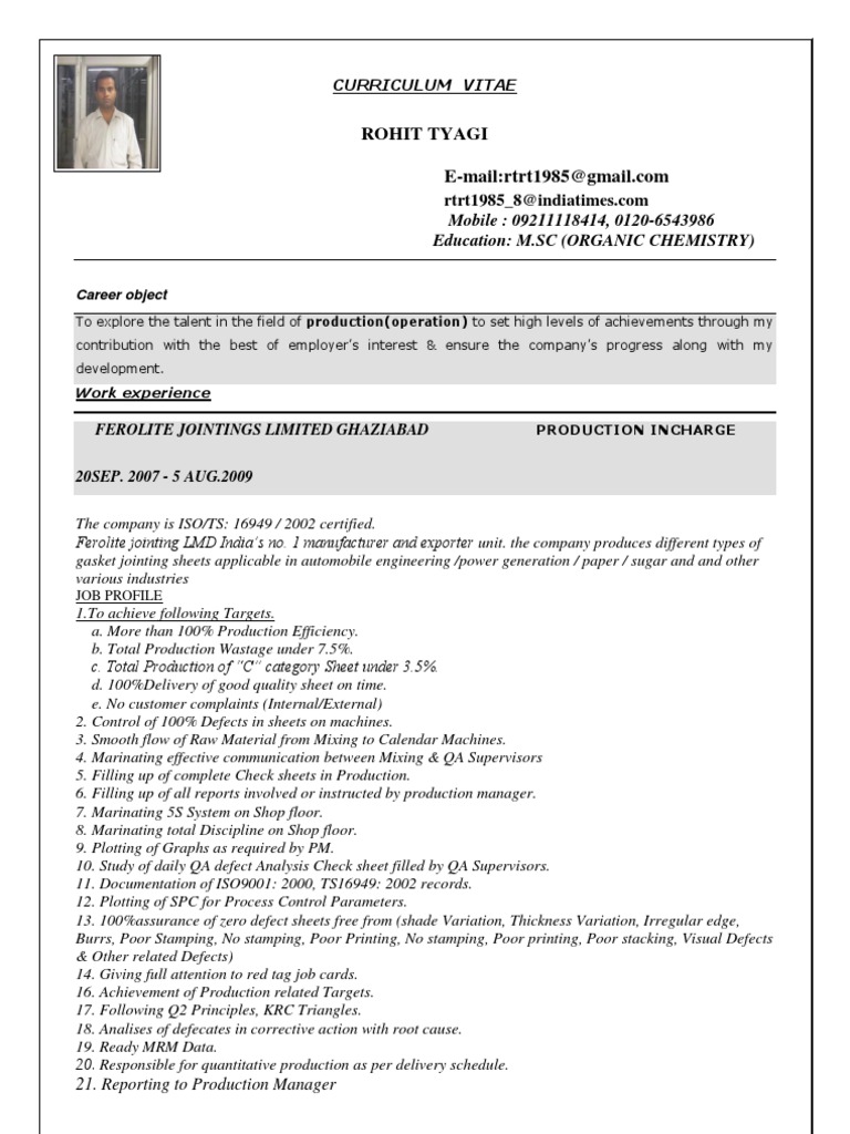 Curriculum vitae template picture