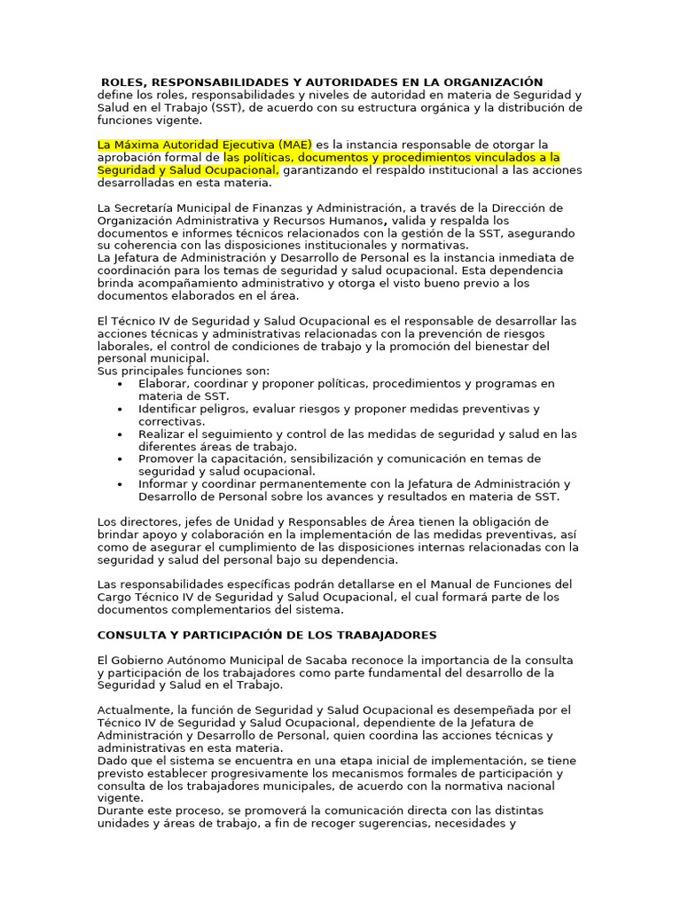 Roles y Responsabilidades en SST | PDF | Seguridad y salud ocupacional ...