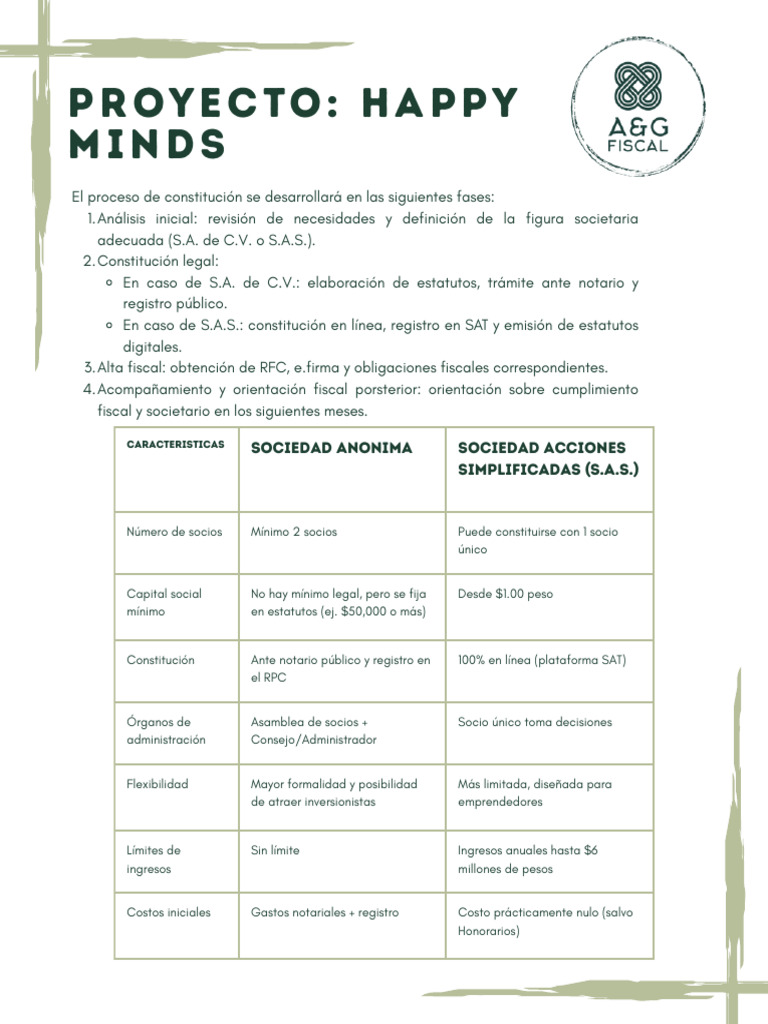 Proyecto Happy Minds | PDF | Business | Economias