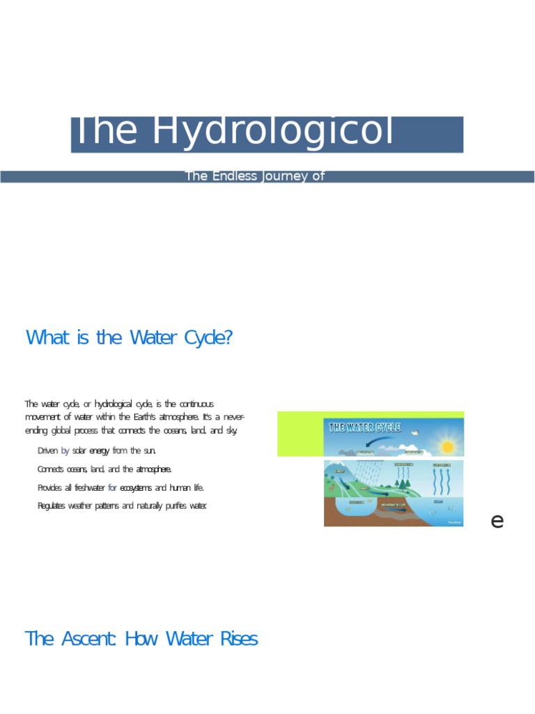 Understanding the Water Cycle Process | PDF