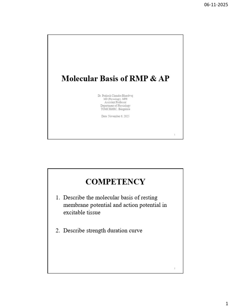 Molecular Basis of RMP and AP Explained | PDF | Membrane Potential ...
