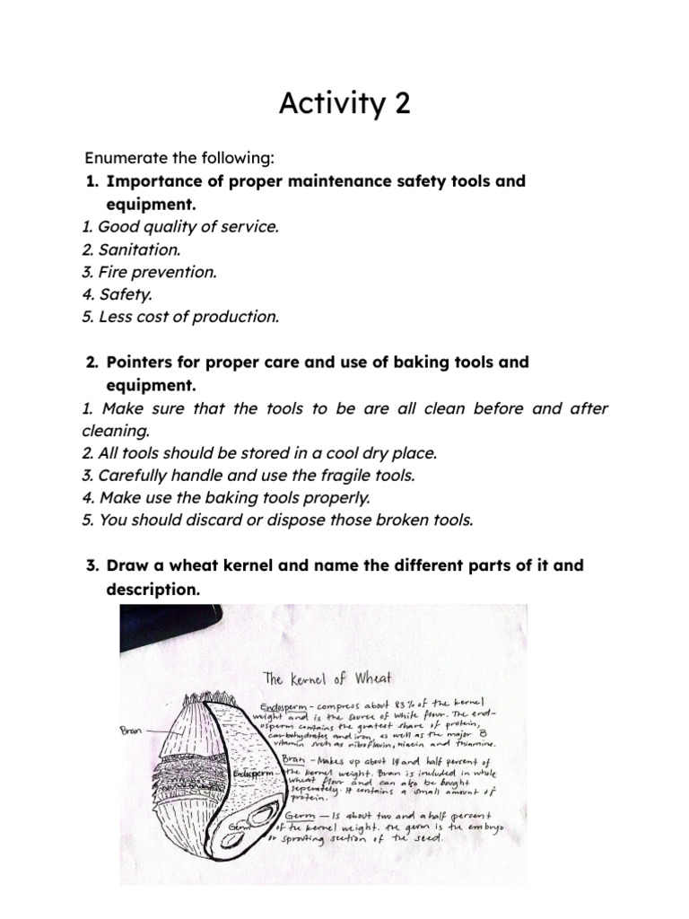 Activity 2 - BPP - Salva | PDF