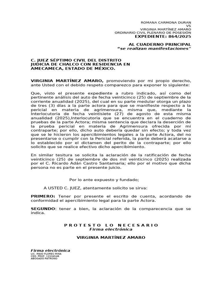 Manifestaciones Respecto A Agrimensura de La Parte Actora | PDF ...