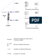 Chromatine - Epigenet N°1