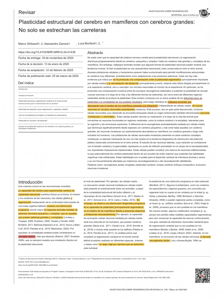 Brain Structural Plasticity in Large-Brained Mammals | PDF | Cerebro ...