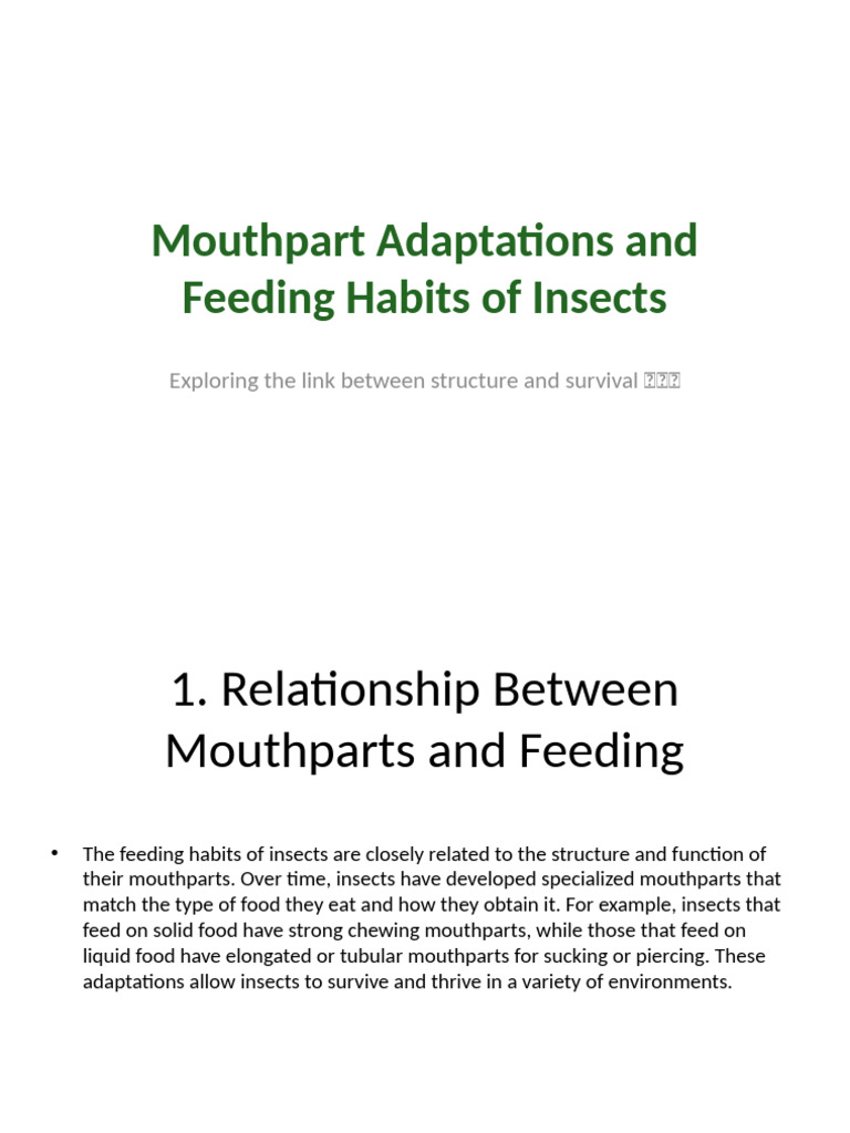 Insect Mouthparts Presentation | PDF