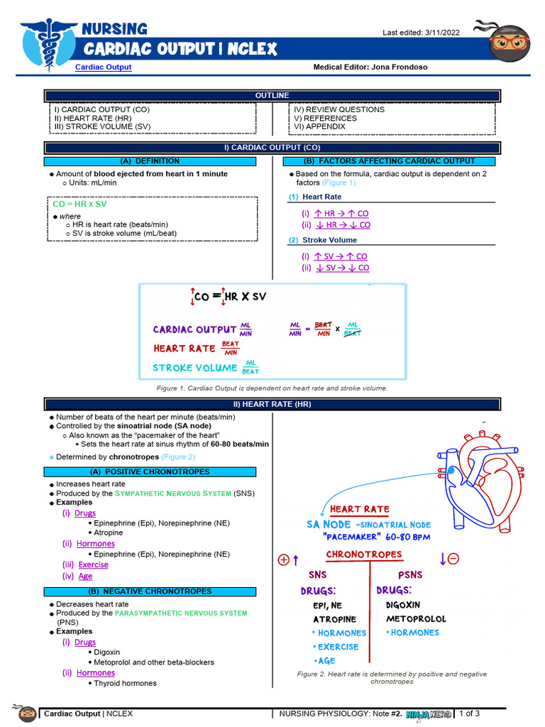 Cardiac Output Explained for NCLEX | PDF | Heart | Heart Rate