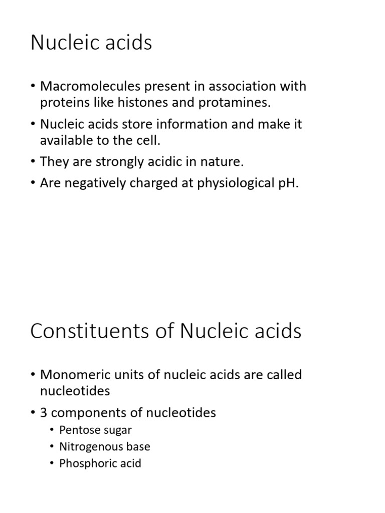 Structure of Nucleic Acids | PDF | Messenger Rna | Rna